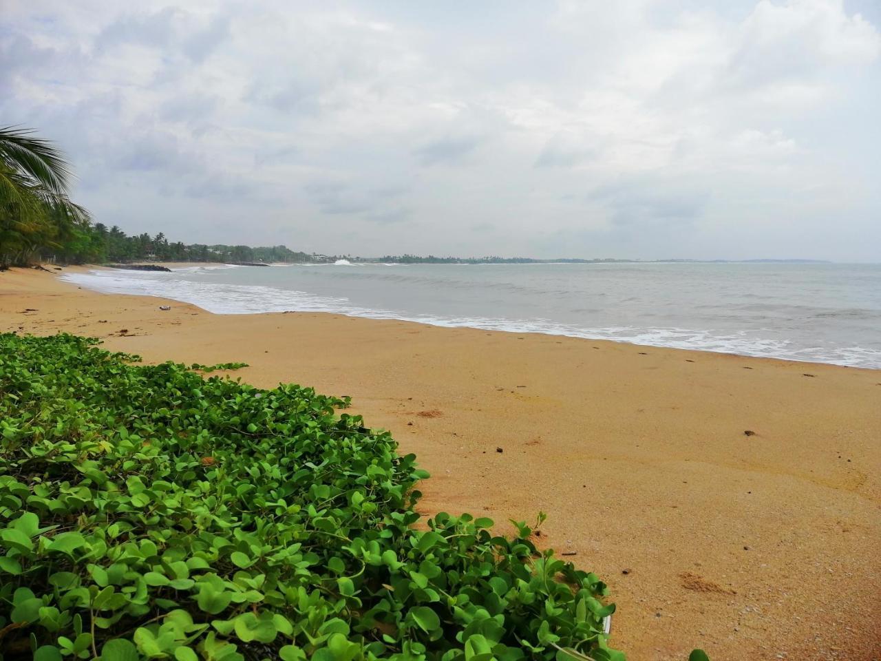 Mars Hotel Tangalle Exteriér fotografie