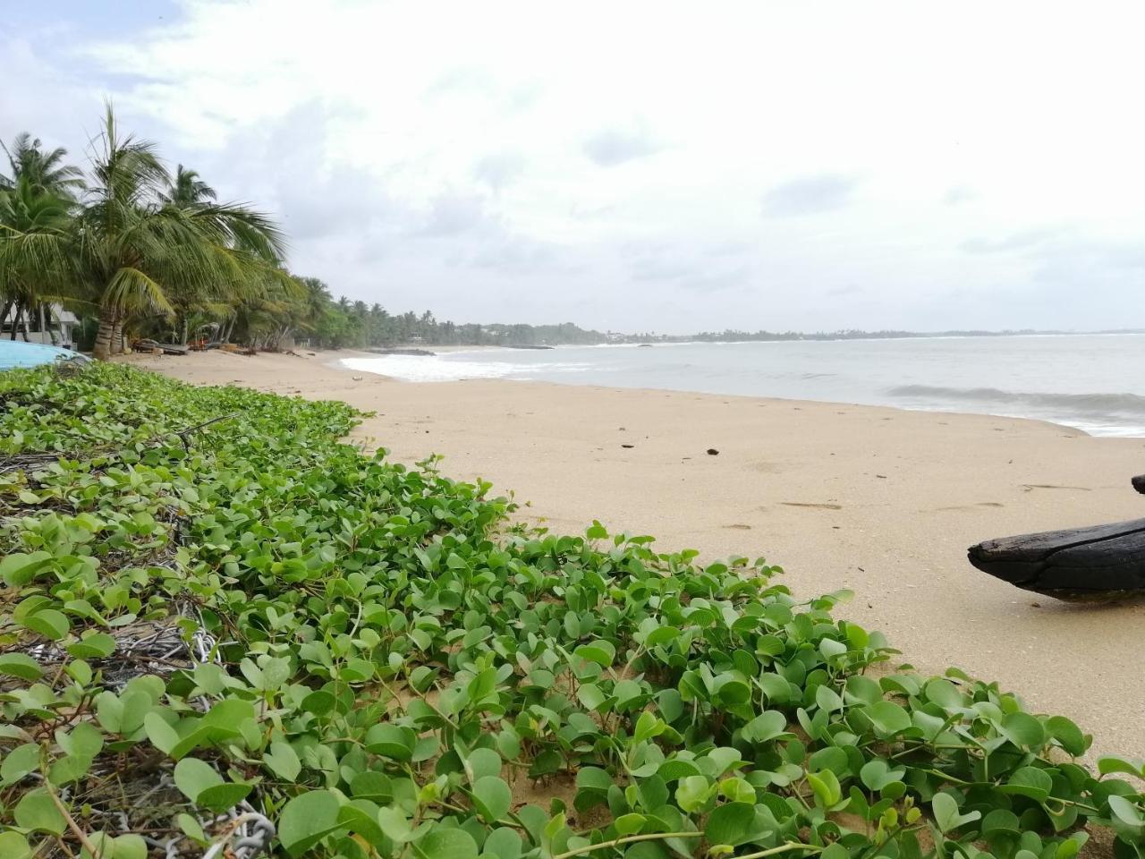 Mars Hotel Tangalle Exteriér fotografie