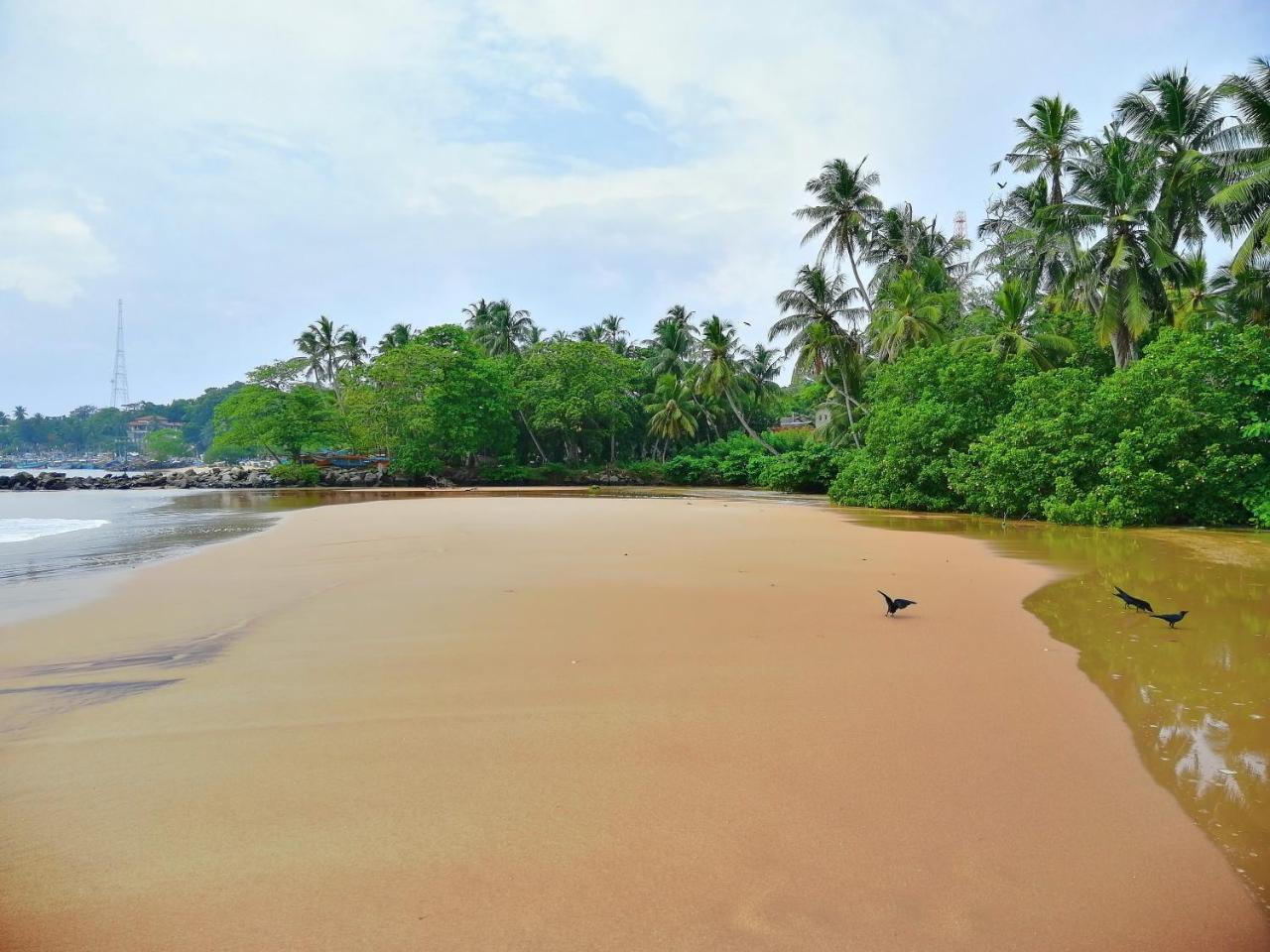 Mars Hotel Tangalle Exteriér fotografie